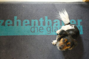 Zehentbauer Glasereihund